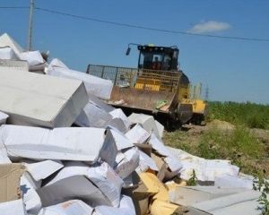 Будем выращивать фуагра! А что это?