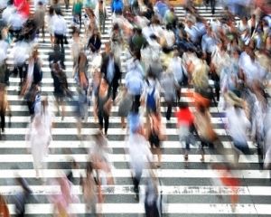 5 міфів серед пішоходів, які дратують водіїв
