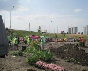 На місці скандальної забудови на Осокорках садять дерева (фото)