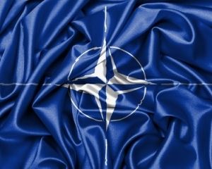 Госдеп: Дальше будут решать Киев и НАТО