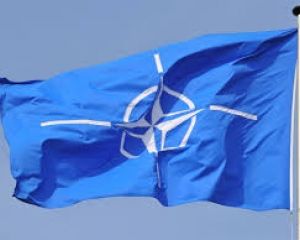 Три условия НАТО для Украины