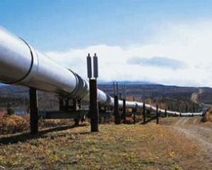 Нефть может обрушиться до 20$