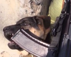 Как выглядит солдатский бар на передовой (видео)