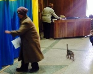 Экзит-пол: 7 партий в парламенте, Гриценко и Тигипко проигрывают