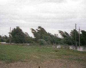 В Україні оголошено штормове попередження