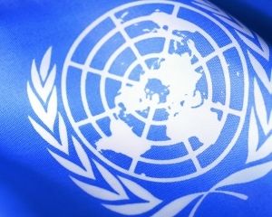 В ООН обеспокоены обстрелом беженцев в Луганской области