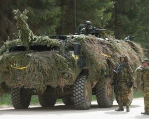 Британские депутаты заявили, что НАТО не готов к нападению России