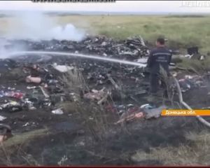 Полицейские из Малайзии уже отправились в Украину