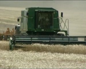 Украина вошла в тройку крупнейших экспортеров зерна (видео)