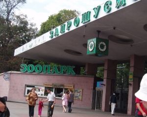 1 сентября Киевский зоопарк впустит первоклассников бесплатно