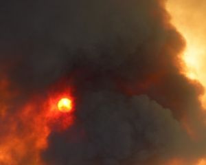 Неукротимый калифорнийский пожар уничтожает Национальный парк и подползает к домам