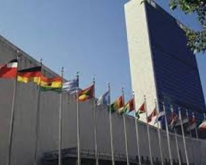 Россия и Китай не стали слушать проект резолюции ООН по Сирии