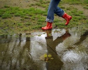 Холодные дожди щедро увлажнят Украину