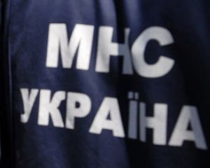 В Івано-Франківську дерево розчавило 5 автомобілів