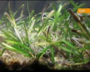 Точка невозврата: Земля задыхается от углерода