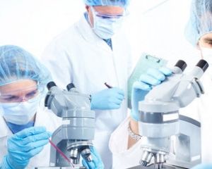 Санэпидемслужба станет «независимой и молодой»
