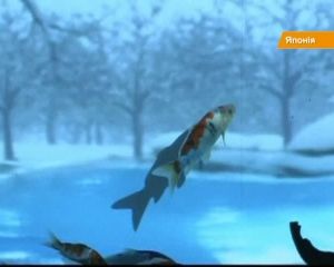В Японии из аквариумных рыбок создали причудливые скульптуры