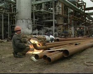 Тонкости свободной торговли с СНГ: какие выгоды ожидает правительство