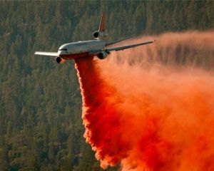 На Канарах крупнейшие за четверть века лесные пожары