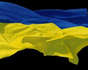 Украинского историка не впустили в Россию