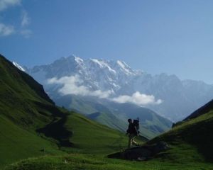 В Грузии нашли мертвого экс-заместителя министра