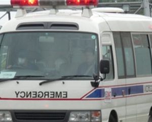 В Японии в результате столкновения автобуса с грузовиком пострадали 38 человек