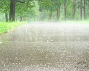 В Україні тепла дощова погода