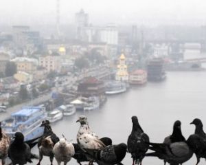 Київ святкує День міста