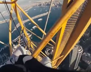 452 метра: Мустанг покорил рекордную высоту в Дубае (ВИДЕО)