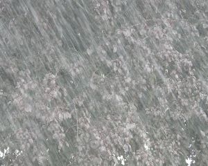 Грандиозный ливень в Киеве