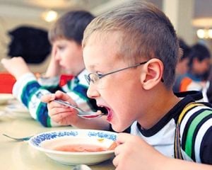Вправе ли льгота на питание ученик украины