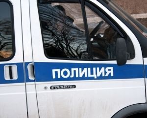 Поліція розправляється з акцією валютних позичальників у Москві (ВІДЕО)