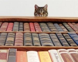 10 лучших украинских книг 2015 года