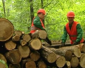 В Крыму заканчиваются дрова, очередь на год вперед