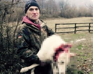 Экс-регионал жестоко убил собаку лесника на охоте (ФОТО 18 )
