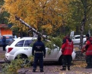 В Киеве береза раздавила китайскую машину (ФОТО)