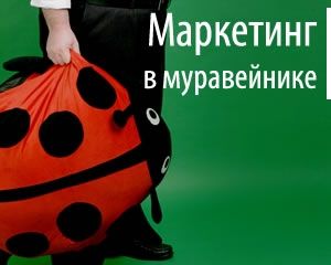 Продвижение интернет-проекта: практический курс