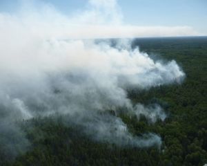 Спасатели на вертолетах ищут, что горит под Киевом