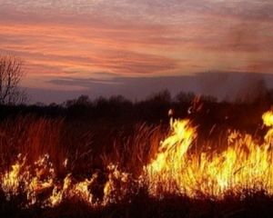 7 советов, как уберечься от дыма в Киеве