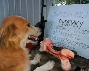 Псу Рыжику подарили кость за