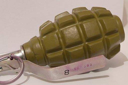 Возле школы на Херсонщине нашли гранату и тротиловую шашку