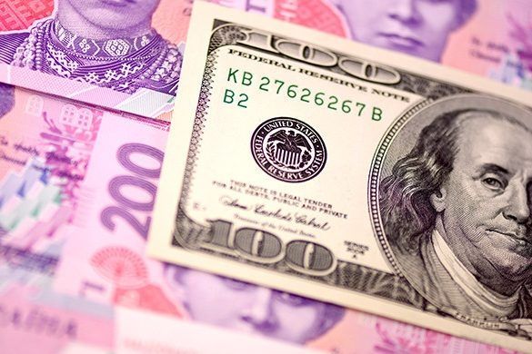 Курс гривны продолжает резко укрепляться