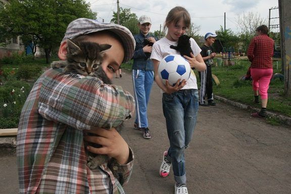Все лето провели в погребе