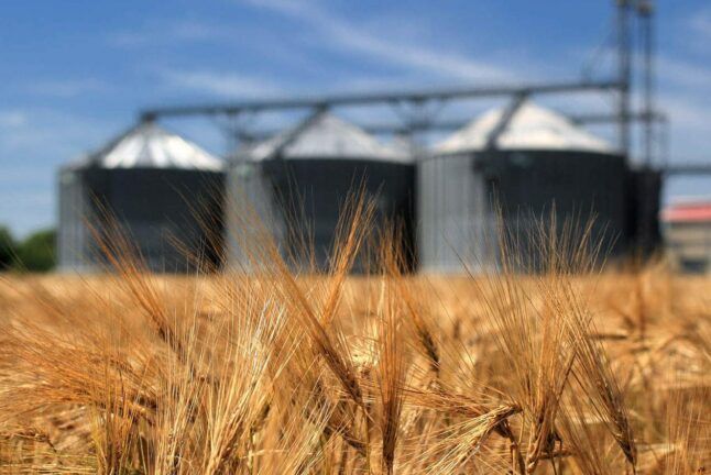 Экономический рецепт для Украины: продавать меньше сырья и больше готовой продукци