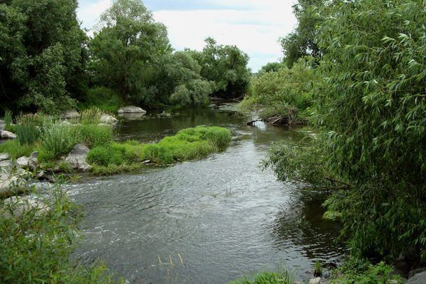 Щороку великі річки України звужуються на 10 метрів