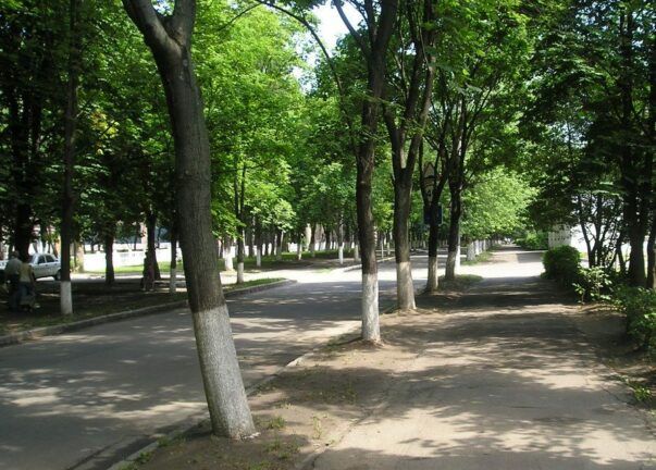 У Києві перейменували бульвар Івана Лепсе