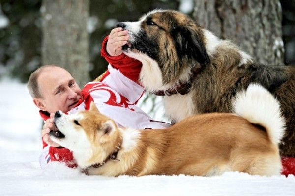 Путін хоче