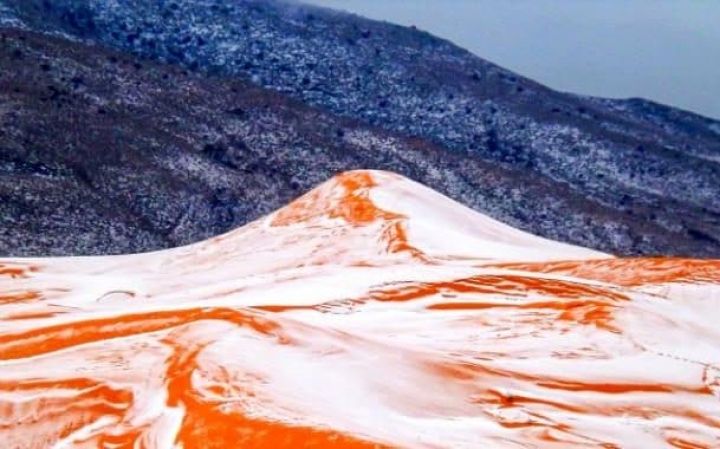Сніг в Сахарі вперше за 37 років