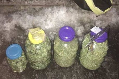куплю марихуану киеве