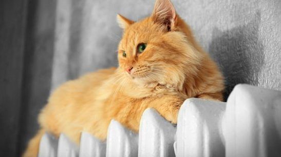 завершення опалювального сезону в Полтаві